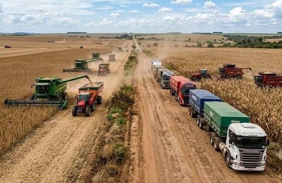 Custos de transporte elevam despesas do agronegócio em Mato Grosso do Sul - Imagem do artigo