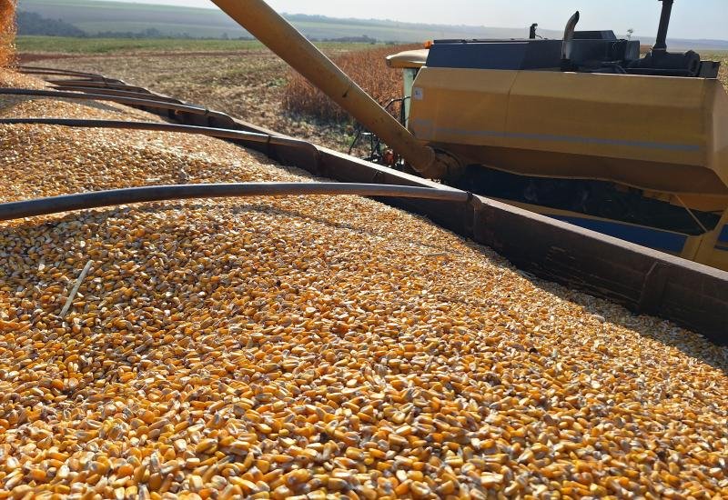 Mato Grosso do Sul intensifica produção de etanol de milho e enfrenta desafios logísticos